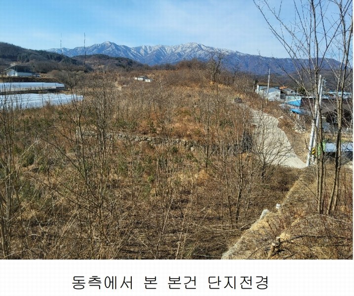 2025타경10675 경상북도 김천시 대항면 덕전리 1118 임야 경매 이미지