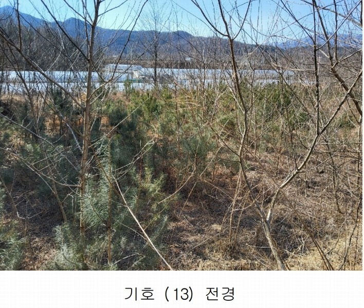 2025타경10675 경상북도 김천시 대항면 덕전리 1118 임야 경매 이미지