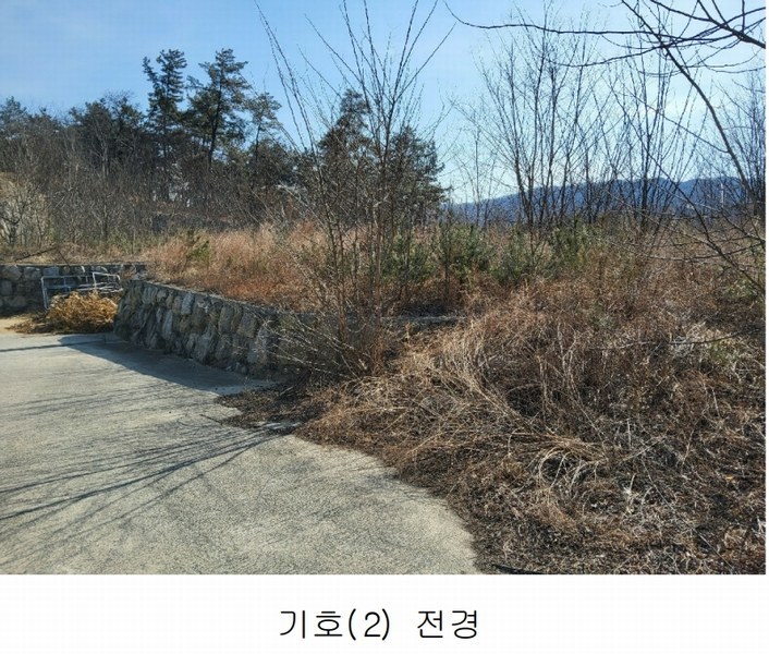 2025타경10675 경상북도 김천시 대항면 덕전리 1118 임야 경매 이미지