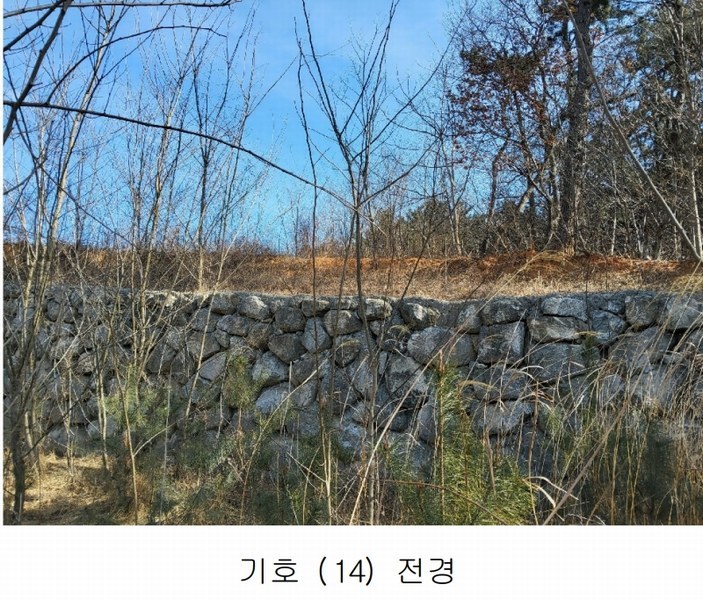 2025타경10675 경상북도 김천시 대항면 덕전리 1118 임야 경매 이미지