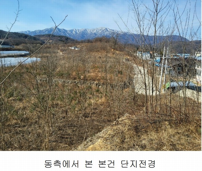 2025타경10675 경상북도 김천시 대항면 덕전리 1118 임야 경매 이미지