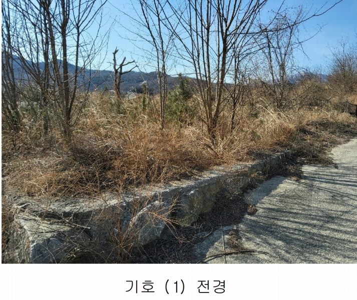 2025타경10675 경상북도 김천시 대항면 덕전리 1118 임야 경매 이미지