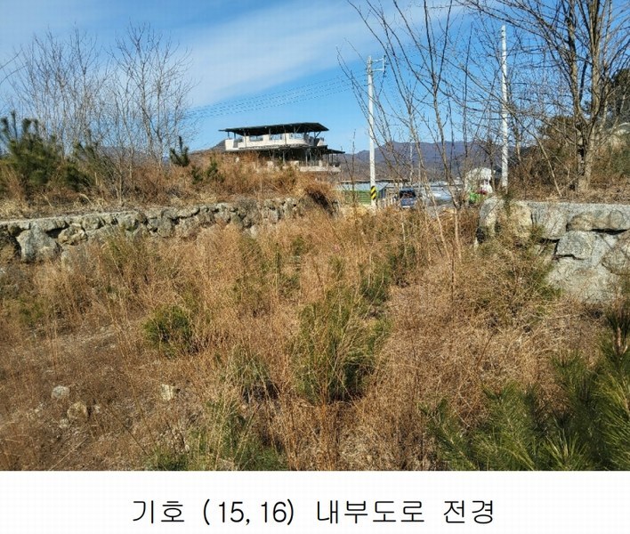 2025타경10675 경상북도 김천시 대항면 덕전리 1118 임야 경매 이미지