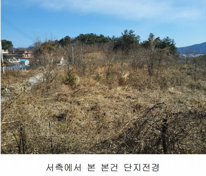 2025타경10675 경상북도 김천시 대항면 덕전리 1118 임야 경매 이미지