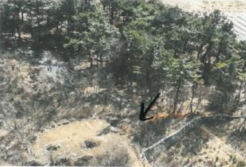 2025타경10675 경상북도 김천시 대항면 덕전리 1118 임야 경매 이미지
