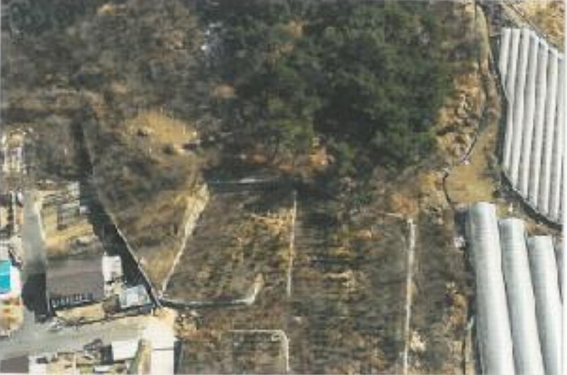 2025타경10675 경상북도 김천시 대항면 덕전리 1118 임야 경매 이미지