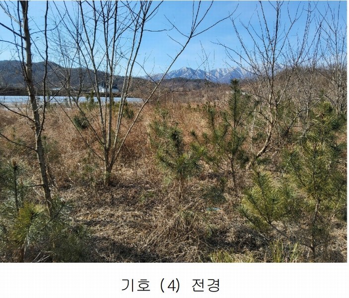 2025타경10675 경상북도 김천시 대항면 덕전리 1118 임야 경매 이미지