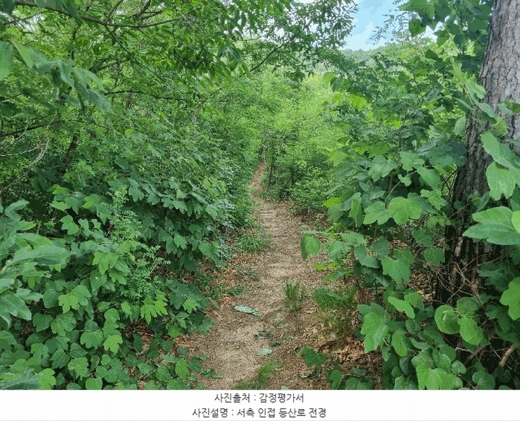 2025타경11024 경상북도 구미시 봉곡동 610 농지 경매 이미지