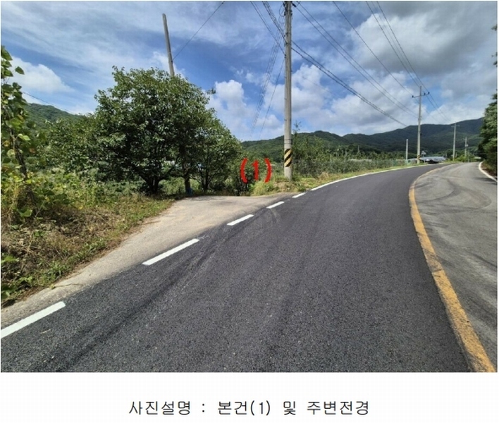 2024타경14373 경상북도 김천시 어모면 능치리 429 농지 경매 이미지