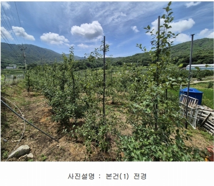 2024타경14373 경상북도 김천시 어모면 능치리 429 농지 경매 이미지