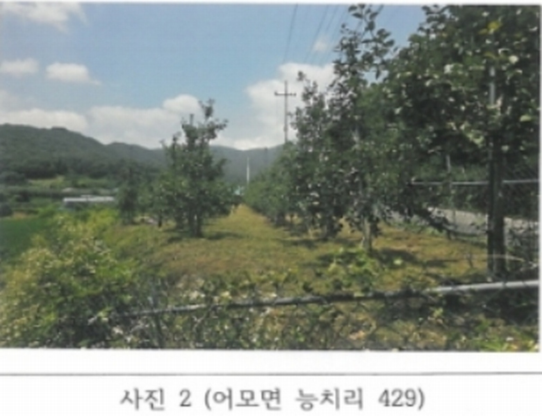 2024타경14373 경상북도 김천시 어모면 능치리 429 농지 경매 이미지