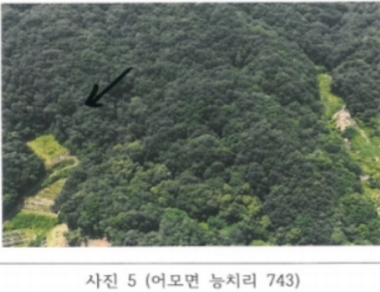 2024타경14373 경상북도 김천시 어모면 능치리 429 농지 경매 이미지