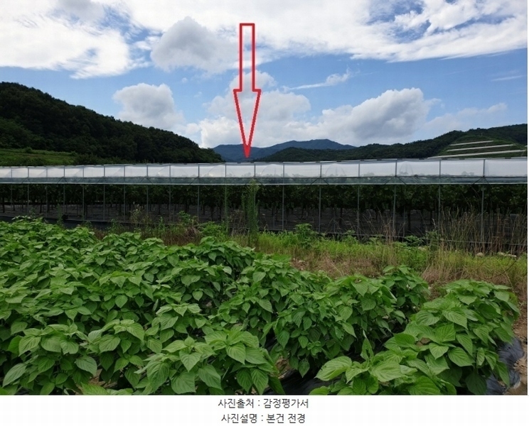 2024타경14830 경상북도 김천시 어모면 옥계리 363 농지 경매 이미지