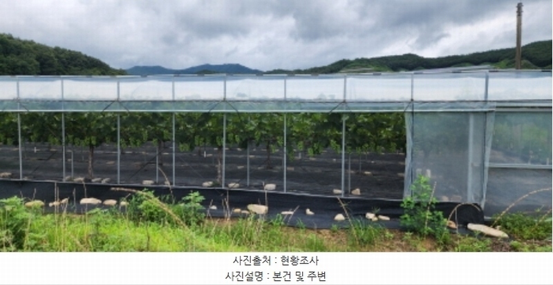 2024타경14830 경상북도 김천시 어모면 옥계리 363 농지 경매 이미지