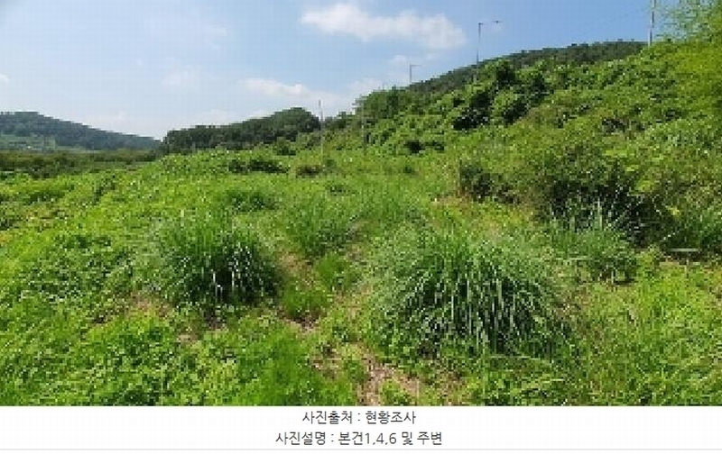 2025타경276 경상남도 창원시 마산합포구 구산면 반동리 27-1 근린시설 경매 이미지