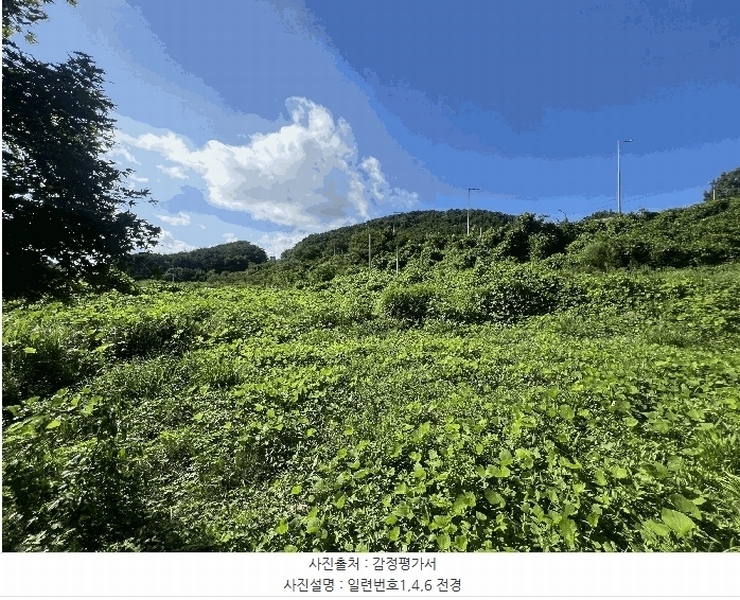 2025타경276 경상남도 창원시 마산합포구 구산면 반동리 27-1 근린시설 경매 이미지
