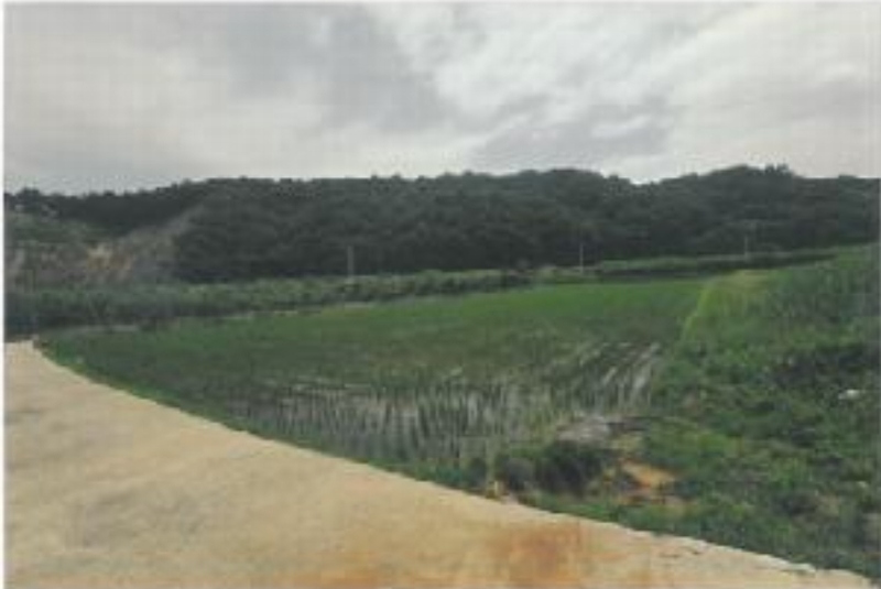 2025타경352 경상북도 김천시 남면 초곡리 569 농지 경매 이미지