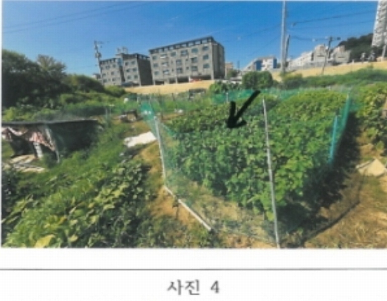2024타경15642 경상북도 김천시 지좌동 498-9 농지 경매 이미지