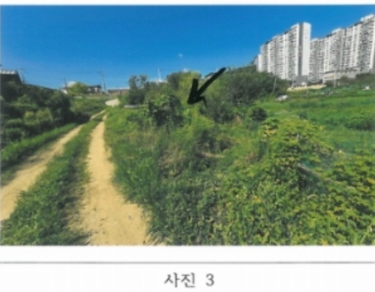 2024타경15642 경상북도 김천시 지좌동 498-9 농지 경매 이미지