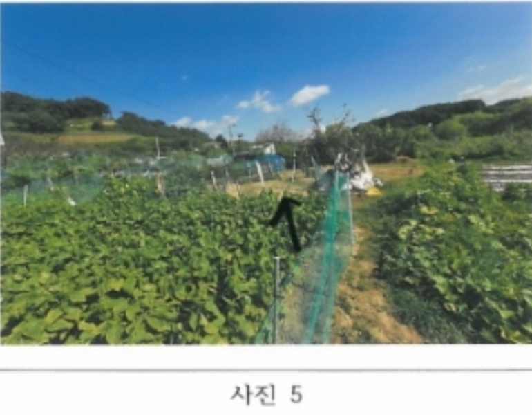 2024타경15642 경상북도 김천시 지좌동 498-9 농지 경매 이미지