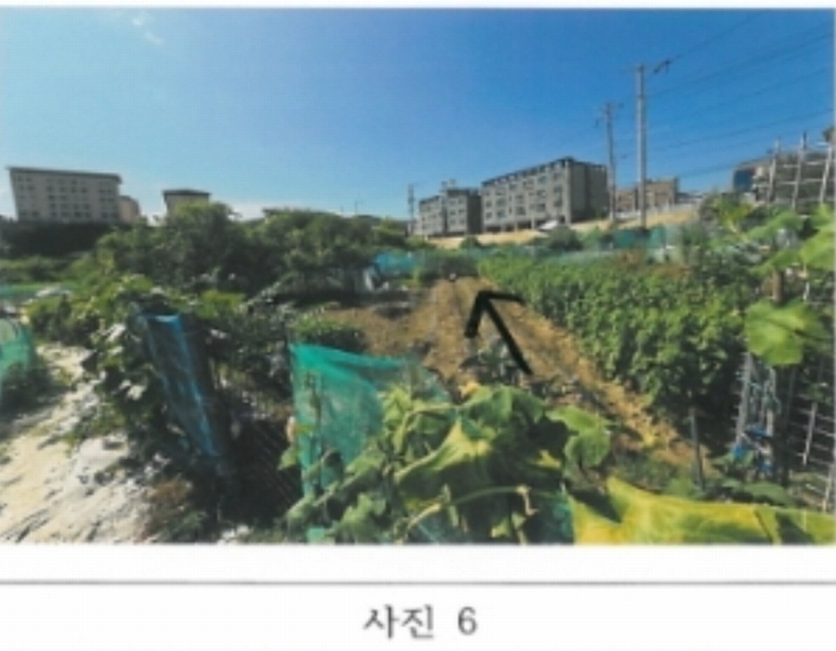2024타경15642 경상북도 김천시 지좌동 498-9 농지 경매 이미지