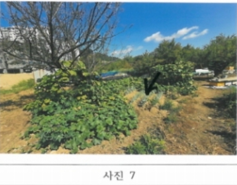 2024타경15642 경상북도 김천시 지좌동 498-9 농지 경매 이미지