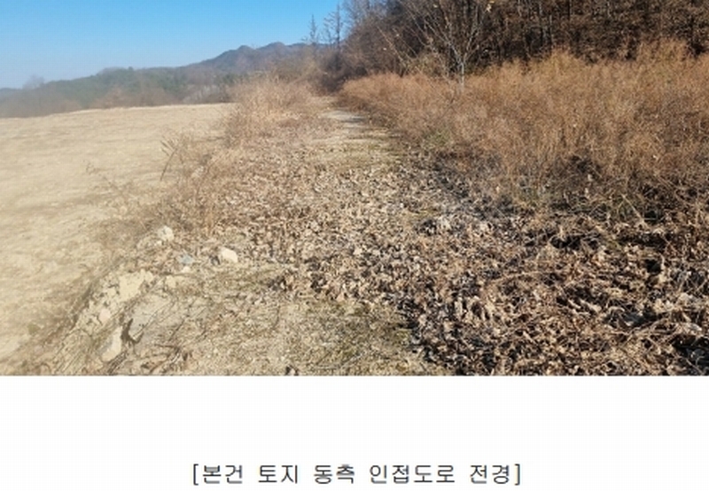 2024타경18412 경상북도 김천시 조마면 신왕리 1356 공장용지 경매 이미지