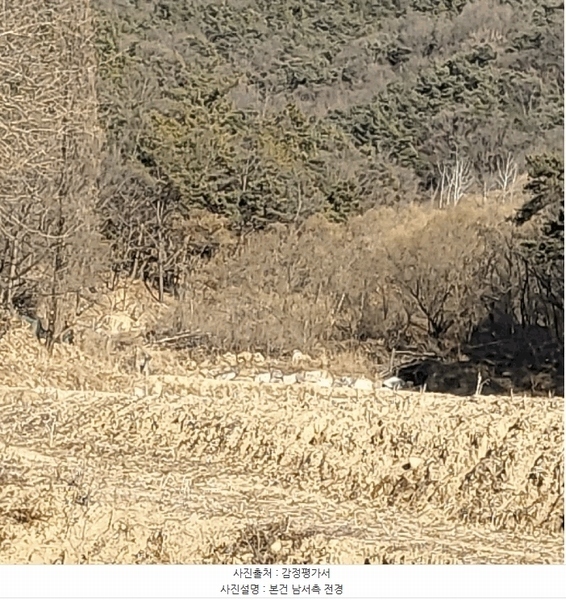 2025타경10809 경상북도 구미시 해평면 도문리 675 농지 경매 이미지