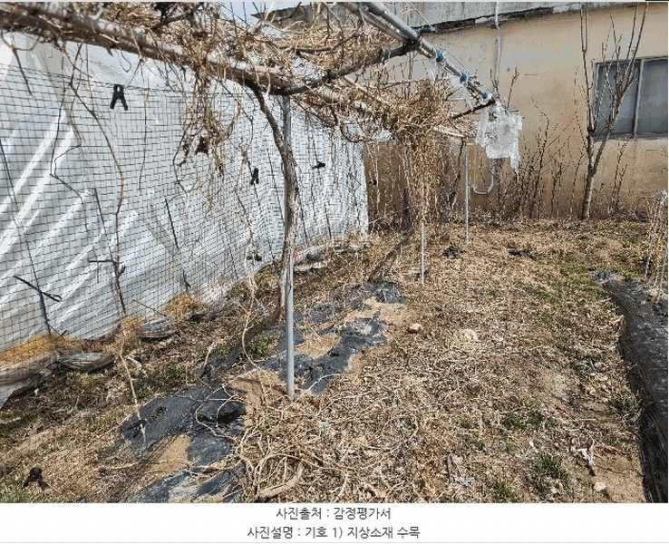 2025타경10811 경상북도 구미시 선산읍 원리 12 주택 경매 이미지
