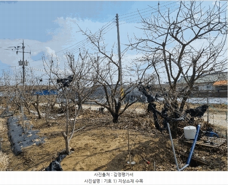 2025타경10811 경상북도 구미시 선산읍 원리 12 주택 경매 이미지