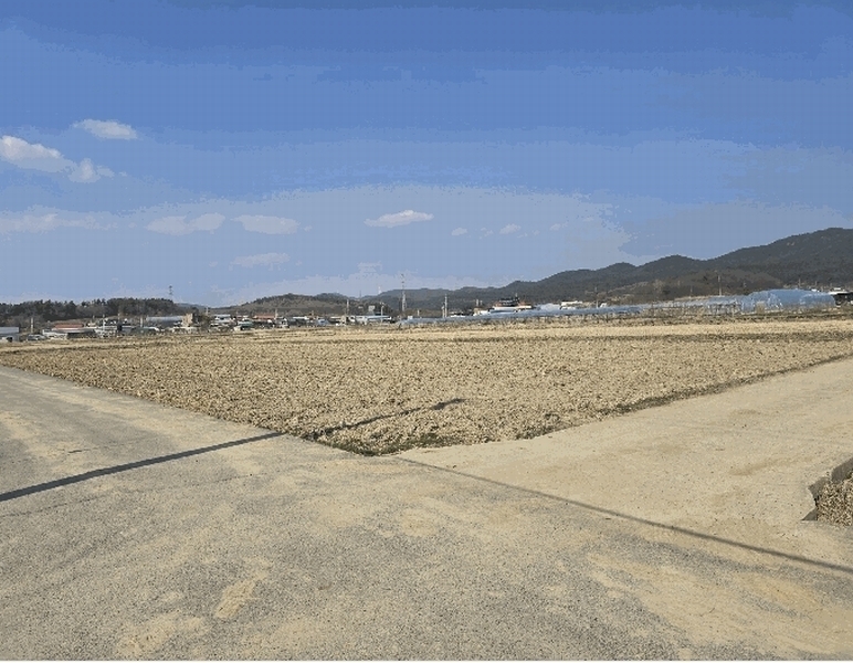 2025타경10859 경상북도 구미시 산동읍 임천리 1002-2 농지 경매 이미지