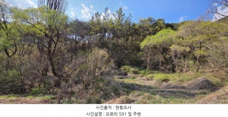 2025타경10943 경상북도 구미시 장천면 오로리 591 농지 경매 이미지