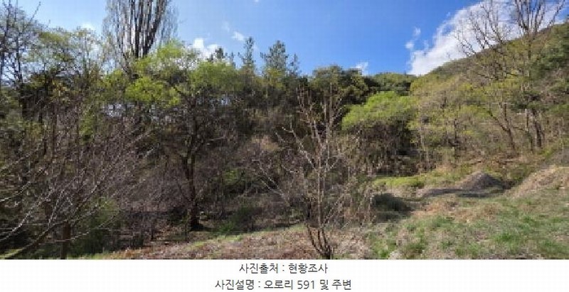 2025타경10943 경상북도 구미시 장천면 오로리 591 농지 경매 이미지
