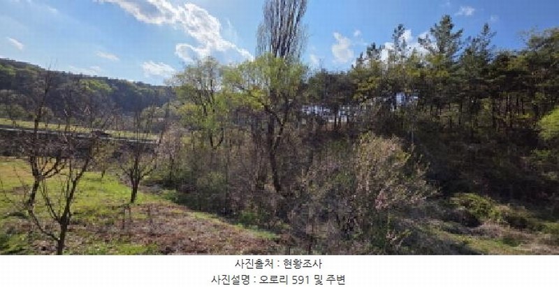 2025타경10943 경상북도 구미시 장천면 오로리 591 농지 경매 이미지