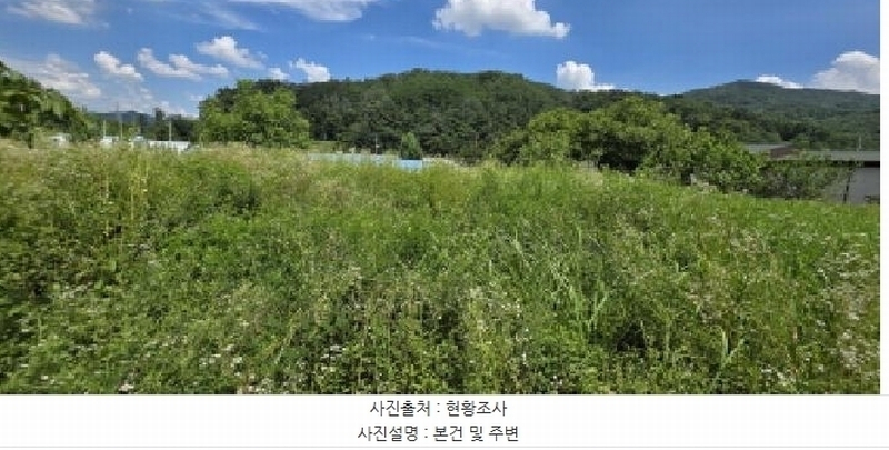 2025타경10952 경상북도 김천시 백옥동 385-2 농지 경매 이미지