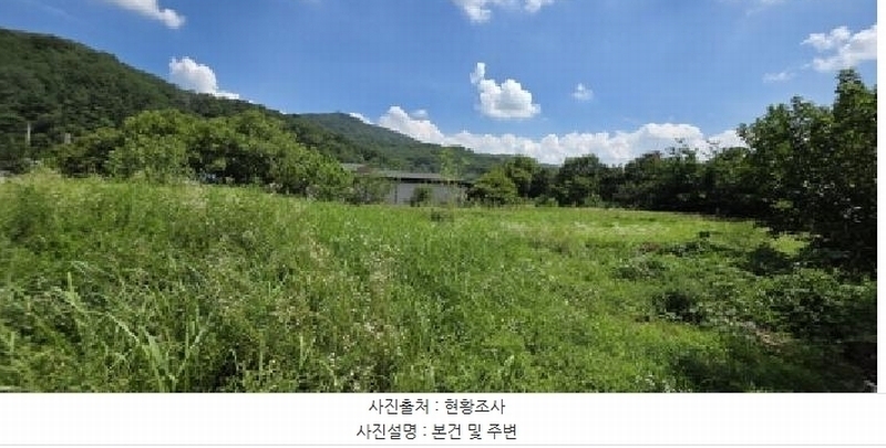 2025타경10952 경상북도 김천시 백옥동 385-2 농지 경매 이미지