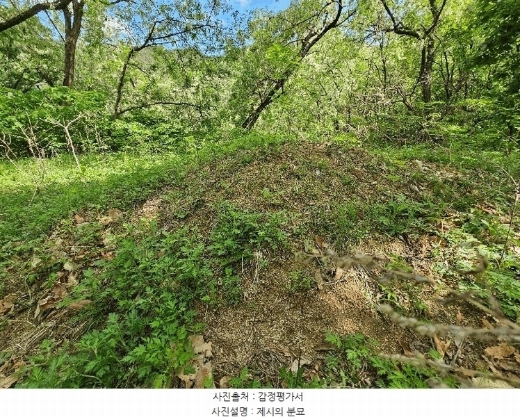 2025타경10990 경상북도 김천시 교동 306 임야 경매 이미지
