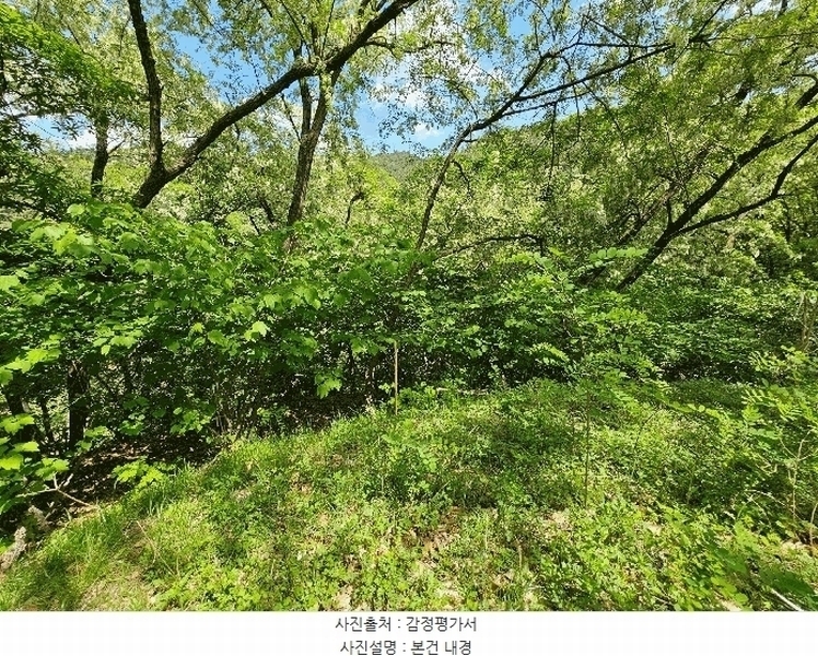 2025타경10990 경상북도 김천시 교동 306 임야 경매 이미지