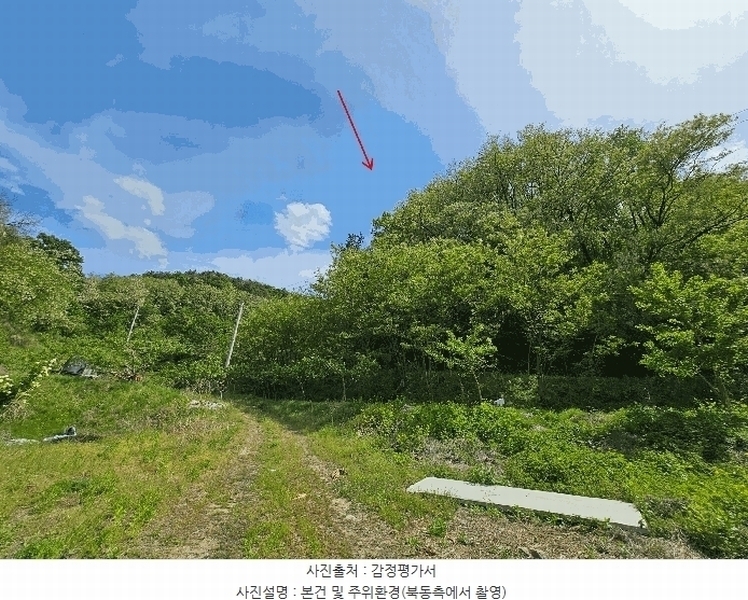 2025타경10990 경상북도 김천시 교동 306 임야 경매 이미지