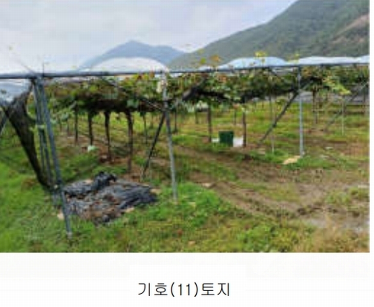2024타경1639 경상북도 상주시 모동면 신천리 623-2 농지 경매 이미지