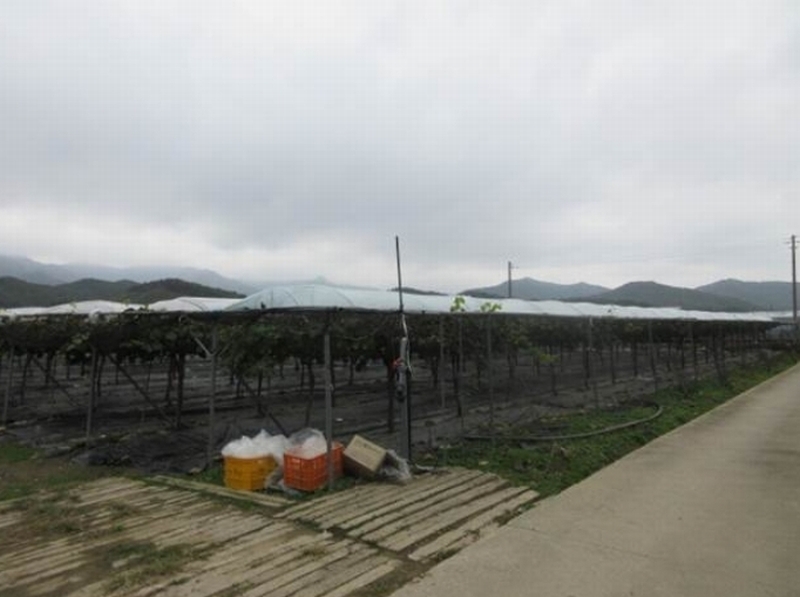 2024타경1639 경상북도 상주시 모동면 신천리 623-2 농지 경매 이미지