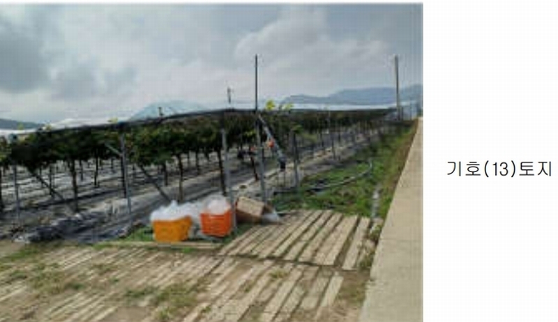 2024타경1639 경상북도 상주시 모동면 신천리 623-2 농지 경매 이미지