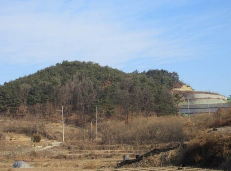 2024타경2038 경상북도 예천군 호명읍 원곡리 산12 임야 경매 이미지