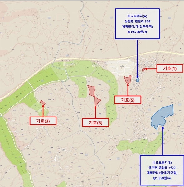 2024타경70772 경상북도 예천군 유천면 연천리 산30-1 임야 경매 이미지