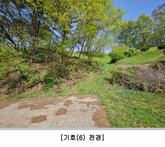 2024타경70772 경상북도 예천군 유천면 연천리 산30-1 임야 경매 이미지