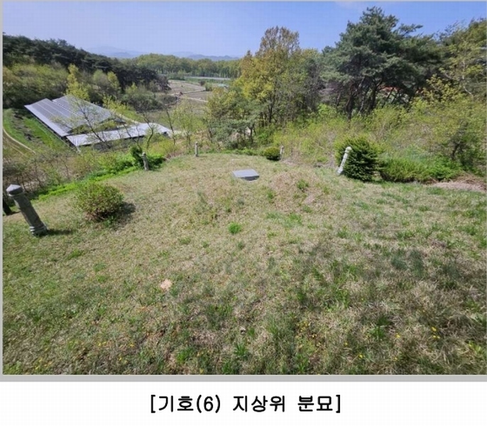 2024타경70772 경상북도 예천군 유천면 연천리 산30-1 임야 경매 이미지