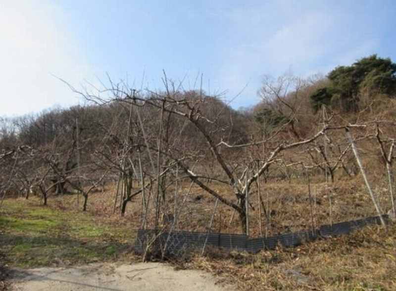 2024타경72792 경상북도 상주시 외남면 흔평리 902 농지 경매 이미지
