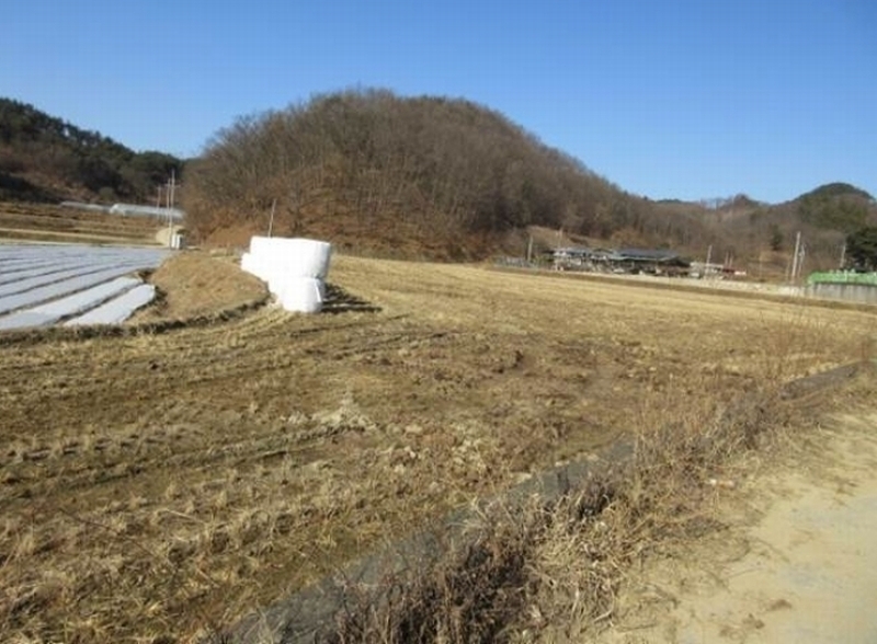 2024타경72990 경상북도 문경시 영순면 말응리 270-3 농지 경매 이미지