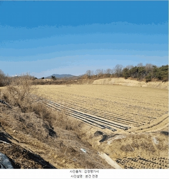 2025타경123 경상북도 예천군 예천읍 고평리 634-3 농지 경매 이미지