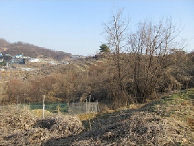 2025타경131 경상북도 문경시 신기동 387-1 농지 경매 이미지
